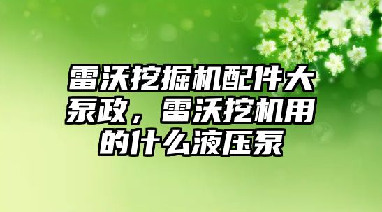 雷沃挖掘機配件大泵政，雷沃挖機用的什么液壓泵