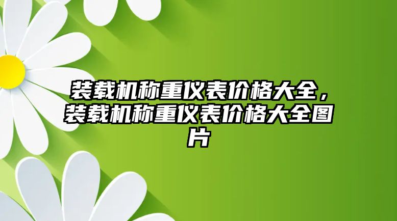 裝載機稱重儀表價格大全，裝載機稱重儀表價格大全圖片