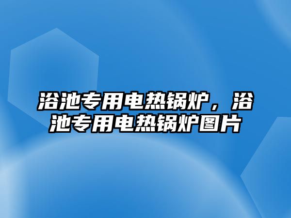 浴池專用電熱鍋爐，浴池專用電熱鍋爐圖片