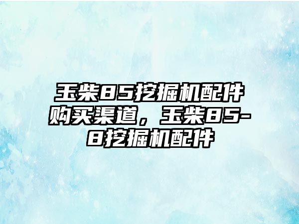 玉柴85挖掘機(jī)配件購(gòu)買渠道，玉柴85-8挖掘機(jī)配件