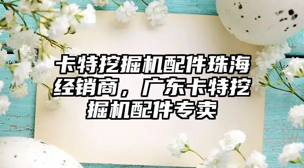 卡特挖掘機配件珠海經(jīng)銷商，廣東卡特挖掘機配件專賣