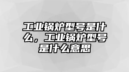 工業(yè)鍋爐型號是什么，工業(yè)鍋爐型號是什么意思