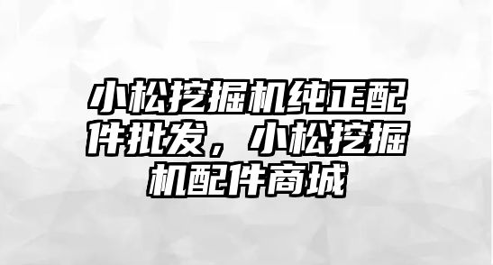 小松挖掘機純正配件批發(fā)，小松挖掘機配件商城