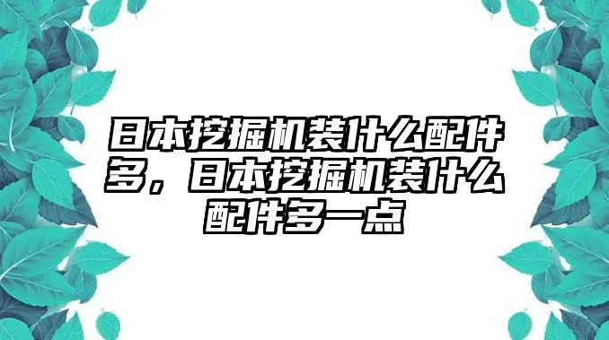 日本挖掘機(jī)裝什么配件多，日本挖掘機(jī)裝什么配件多一點(diǎn)