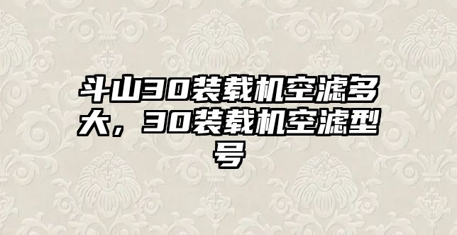 斗山30裝載機(jī)空濾多大，30裝載機(jī)空濾型號(hào)