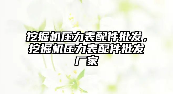 挖掘機壓力表配件批發(fā)，挖掘機壓力表配件批發(fā)廠家