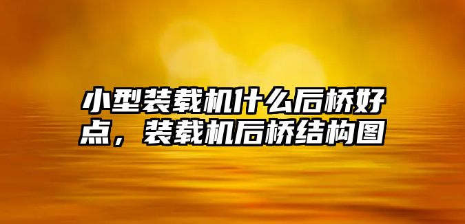 小型裝載機什么后橋好點，裝載機后橋結(jié)構(gòu)圖