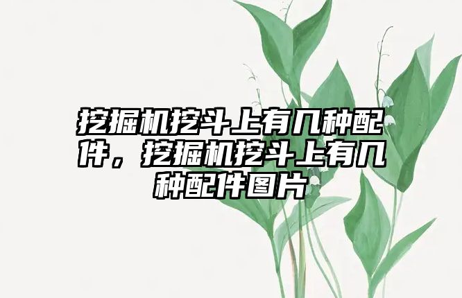 挖掘機挖斗上有幾種配件，挖掘機挖斗上有幾種配件圖片