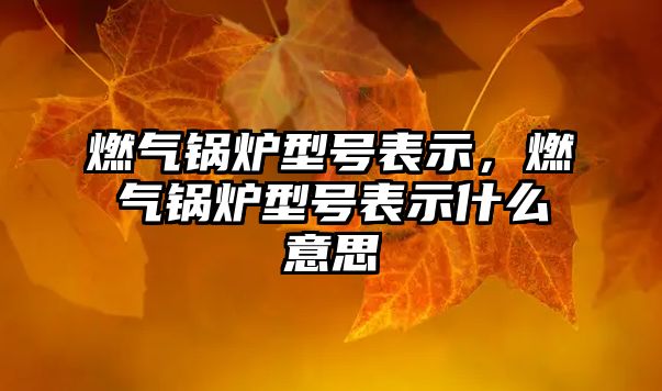 燃?xì)忮仩t型號(hào)表示，燃?xì)忮仩t型號(hào)表示什么意思