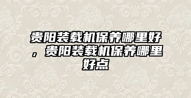 貴陽裝載機保養(yǎng)哪里好，貴陽裝載機保養(yǎng)哪里好點