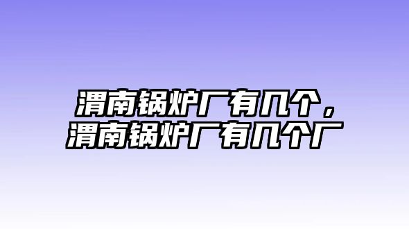 渭南鍋爐廠有幾個，渭南鍋爐廠有幾個廠