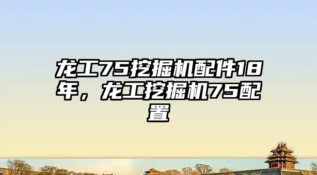 龍工75挖掘機配件18年，龍工挖掘機75配置