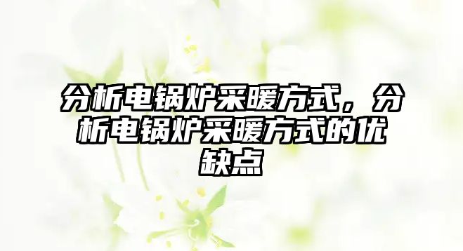 分析電鍋爐采暖方式，分析電鍋爐采暖方式的優(yōu)缺點