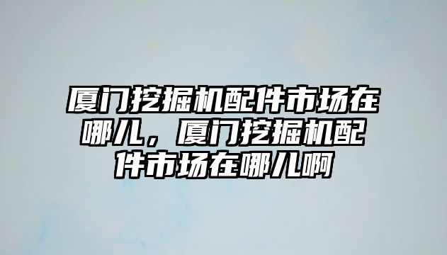 廈門挖掘機(jī)配件市場在哪兒，廈門挖掘機(jī)配件市場在哪兒啊