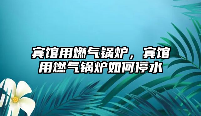 賓館用燃?xì)忮仩t，賓館用燃?xì)忮仩t如何停水