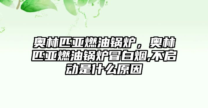 奧林匹亞燃油鍋爐，奧林匹亞燃油鍋爐冒白煙,不啟動(dòng)是什么原因