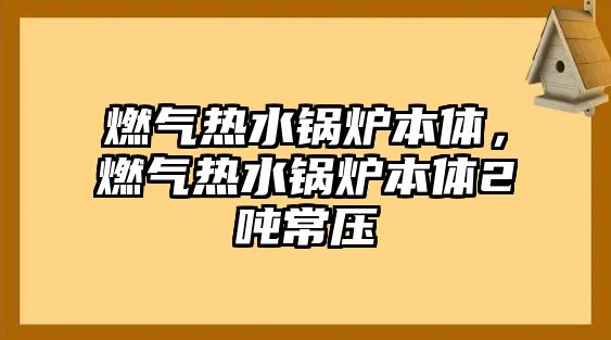 燃?xì)鉄崴仩t本體，燃?xì)鉄崴仩t本體2噸常壓