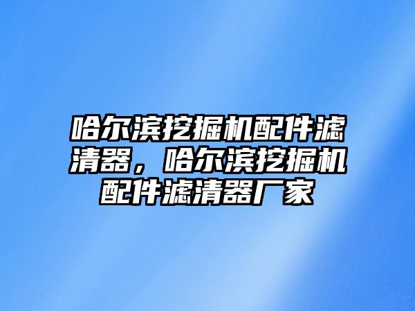 哈爾濱挖掘機配件濾清器，哈爾濱挖掘機配件濾清器廠家