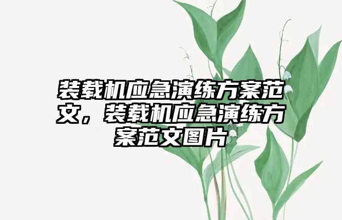 裝載機應急演練方案范文，裝載機應急演練方案范文圖片