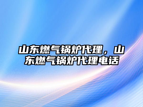 山東燃?xì)忮仩t代理，山東燃?xì)忮仩t代理電話