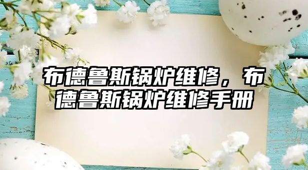 布德魯斯鍋爐維修，布德魯斯鍋爐維修手冊(cè)