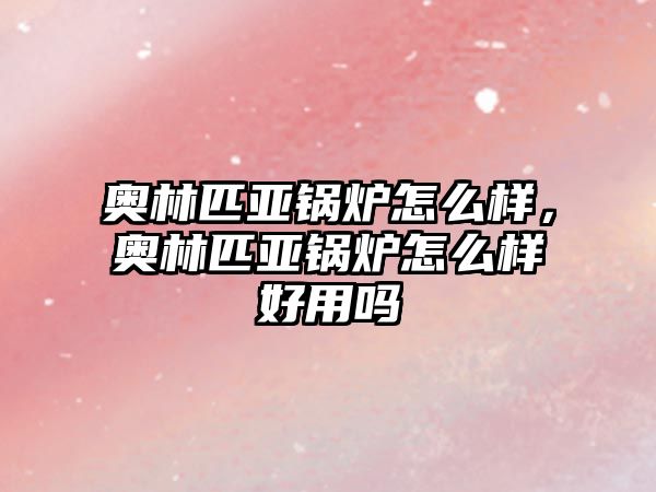 奧林匹亞鍋爐怎么樣，奧林匹亞鍋爐怎么樣好用嗎