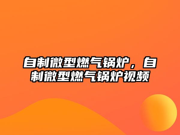 自制微型燃?xì)忮仩t，自制微型燃?xì)忮仩t視頻