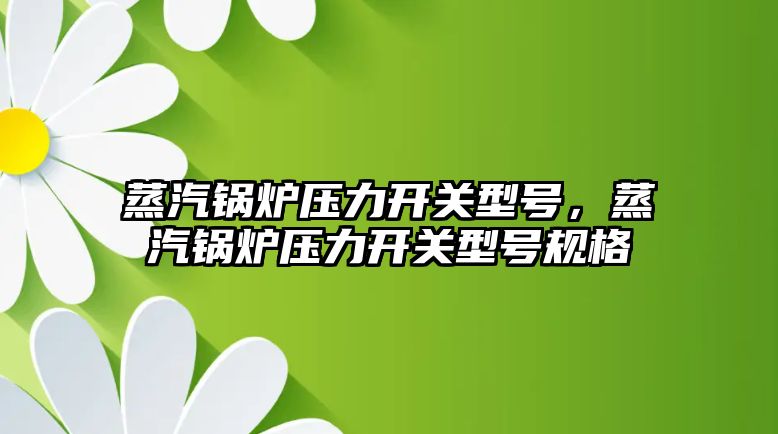 蒸汽鍋爐壓力開關型號，蒸汽鍋爐壓力開關型號規(guī)格