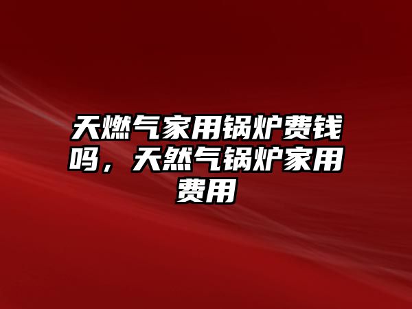 天燃?xì)饧矣缅仩t費(fèi)錢嗎，天然氣鍋爐家用費(fèi)用