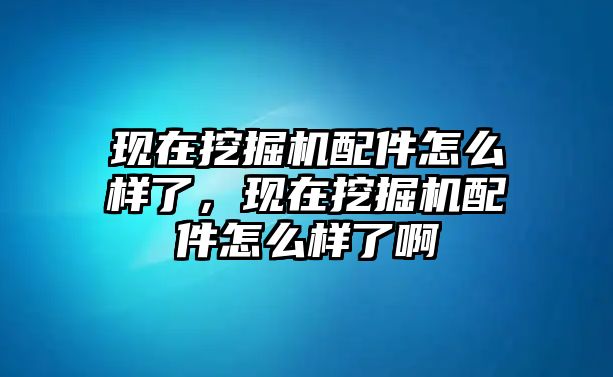 現(xiàn)在挖掘機配件怎么樣了，現(xiàn)在挖掘機配件怎么樣了啊