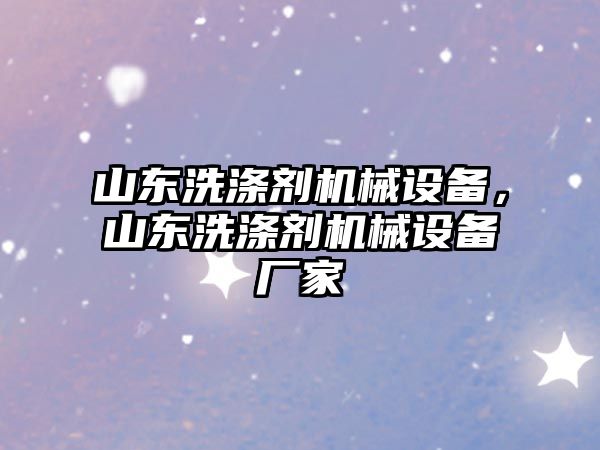 山東洗滌劑機(jī)械設(shè)備，山東洗滌劑機(jī)械設(shè)備廠家