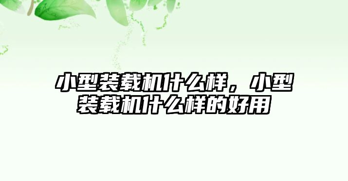 小型裝載機什么樣，小型裝載機什么樣的好用