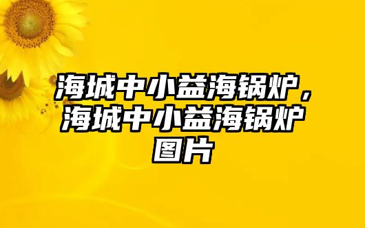 海城中小益海鍋爐，海城中小益海鍋爐圖片