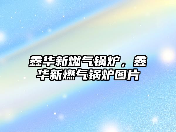 鑫華新燃?xì)忮仩t，鑫華新燃?xì)忮仩t圖片