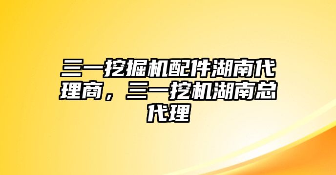 三一挖掘機配件湖南代理商，三一挖機湖南總代理