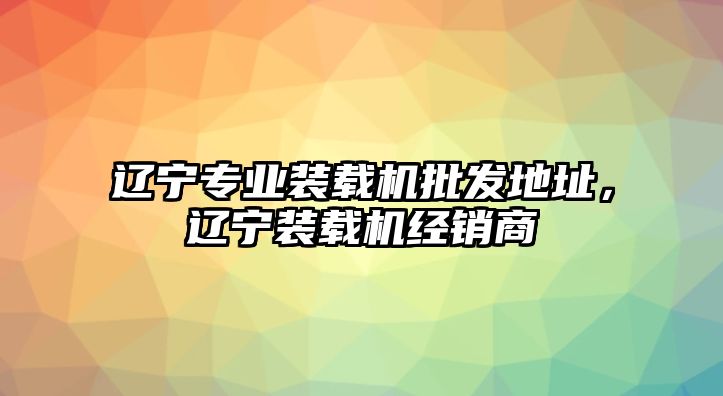 遼寧專業(yè)裝載機批發(fā)地址，遼寧裝載機經(jīng)銷商