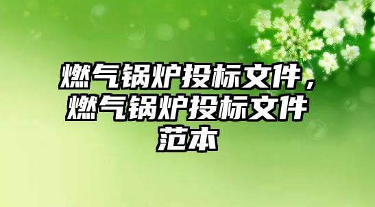 燃?xì)忮仩t投標(biāo)文件，燃?xì)忮仩t投標(biāo)文件范本