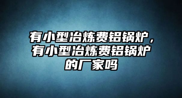 有小型冶煉費鋁鍋爐，有小型冶煉費鋁鍋爐的廠家嗎