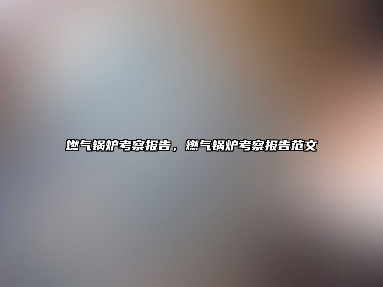 燃?xì)忮仩t考察報(bào)告，燃?xì)忮仩t考察報(bào)告范文