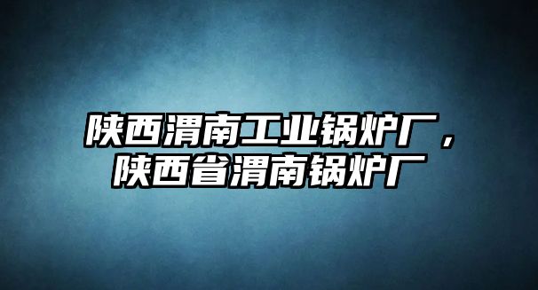 陜西渭南工業(yè)鍋爐廠，陜西省渭南鍋爐廠