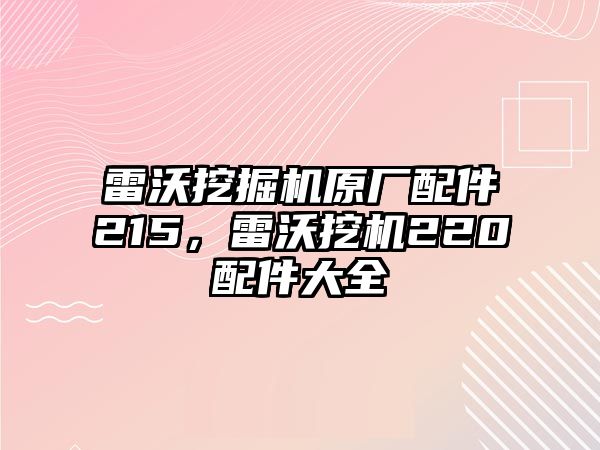 雷沃挖掘機(jī)原廠配件215，雷沃挖機(jī)220配件大全