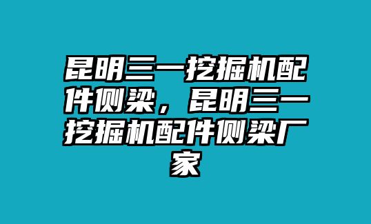 昆明三一挖掘機(jī)配件側(cè)梁，昆明三一挖掘機(jī)配件側(cè)梁廠家