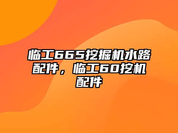 臨工665挖掘機(jī)水路配件，臨工60挖機(jī)配件