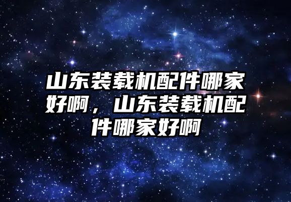 山東裝載機配件哪家好啊，山東裝載機配件哪家好啊