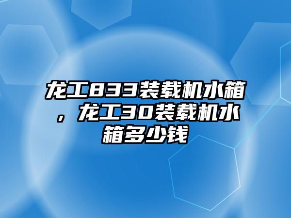 龍工833裝載機(jī)水箱，龍工30裝載機(jī)水箱多少錢