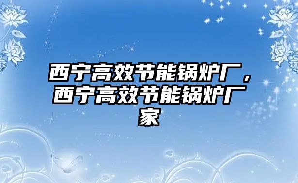 西寧高效節(jié)能鍋爐廠，西寧高效節(jié)能鍋爐廠家