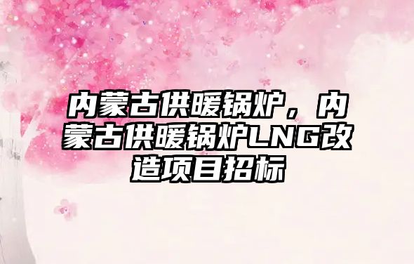 內蒙古供暖鍋爐，內蒙古供暖鍋爐LNG改造項目招標