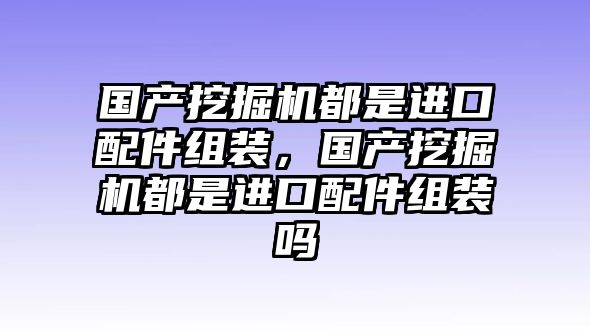 國(guó)產(chǎn)挖掘機(jī)都是進(jìn)口配件組裝，國(guó)產(chǎn)挖掘機(jī)都是進(jìn)口配件組裝嗎