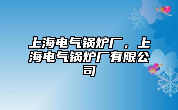 上海電氣鍋爐廠，上海電氣鍋爐廠有限公司