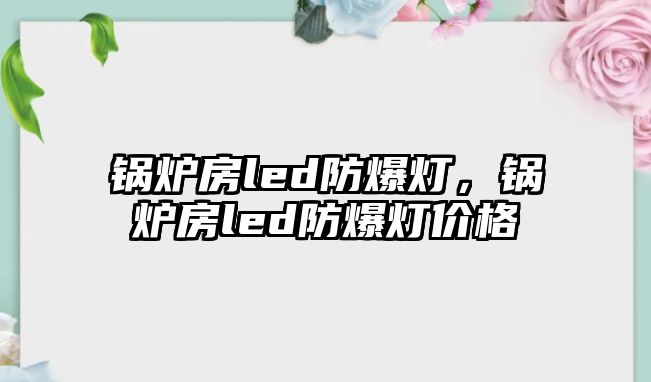 鍋爐房led防爆燈，鍋爐房led防爆燈價格